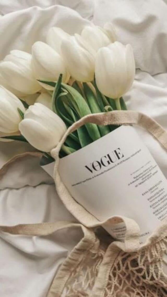hình nền hoa tulip trắng