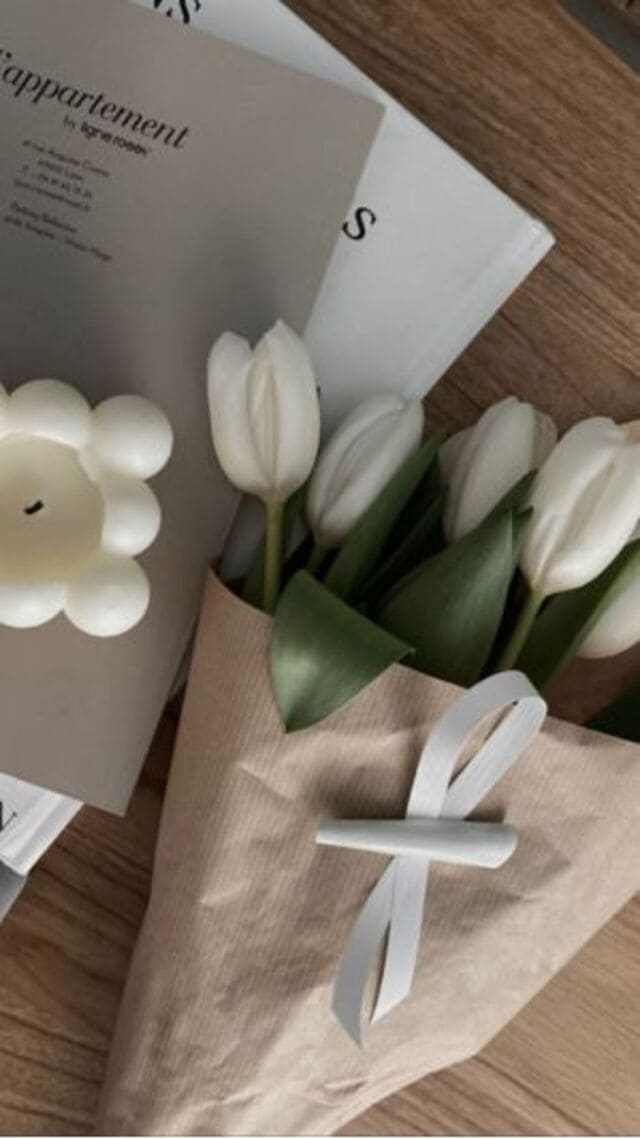 hình nền hoa tulip trắng