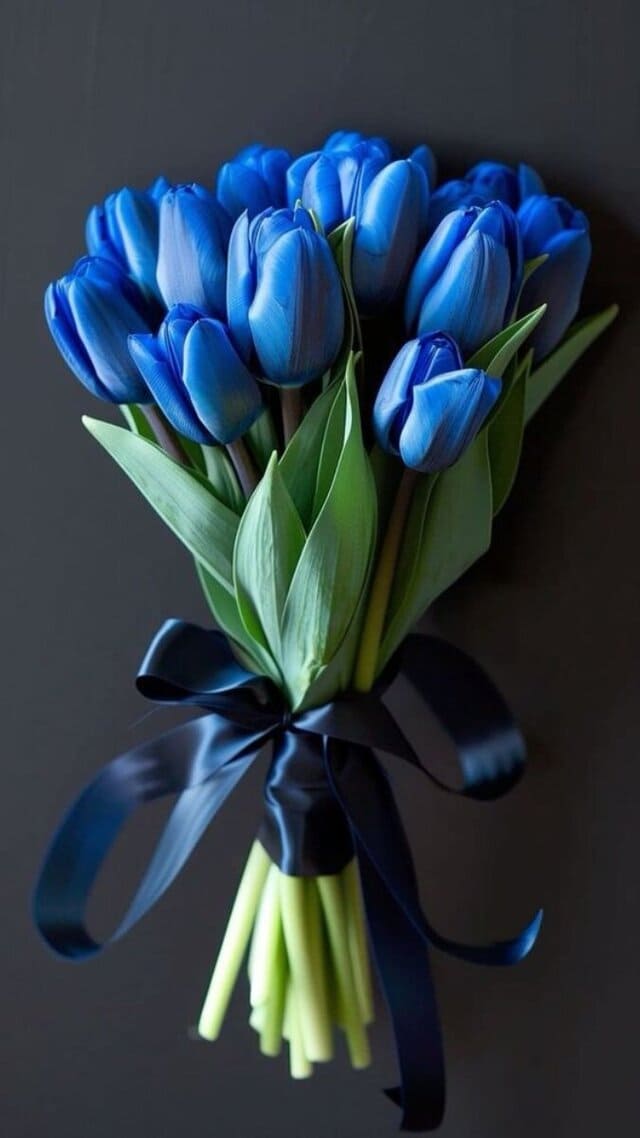hình nền hoa tulip xanh dương