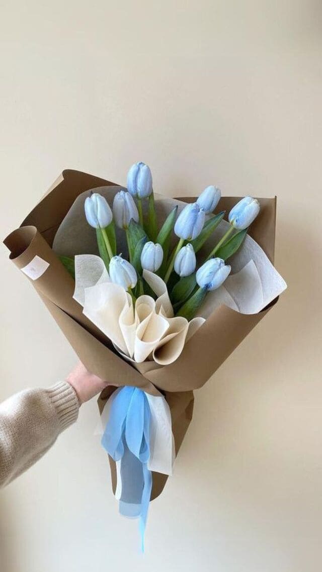 hình nền hoa tulip xanh dương