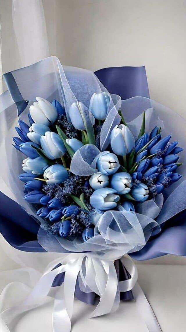 hình nền hoa tulip xanh dương