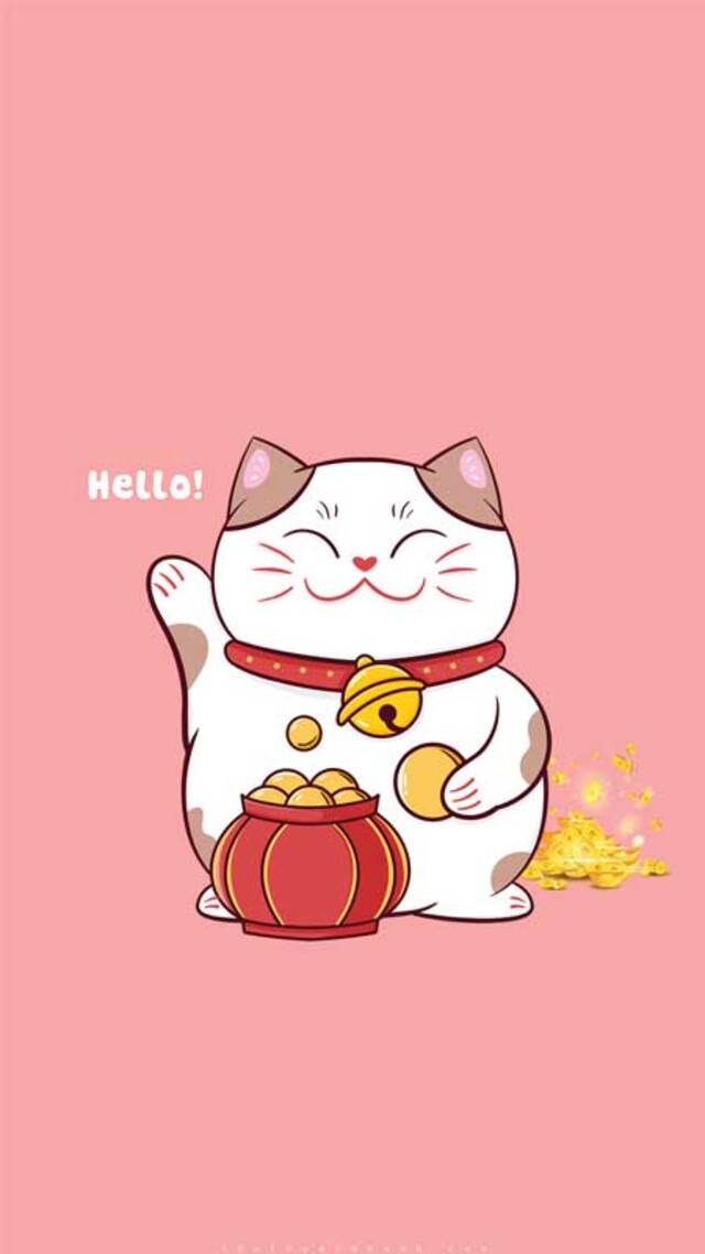 hình nền mèo cute cho điện thoại