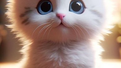 Hình nền mèo cute cho điện thoại